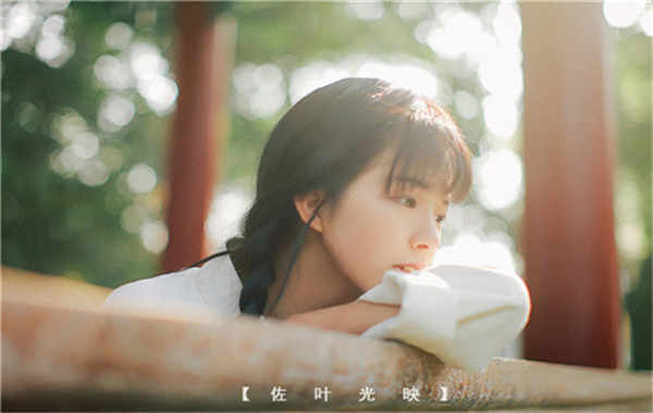 新县胎儿性别鉴定需要多少钱(胎儿性别鉴定的方法)